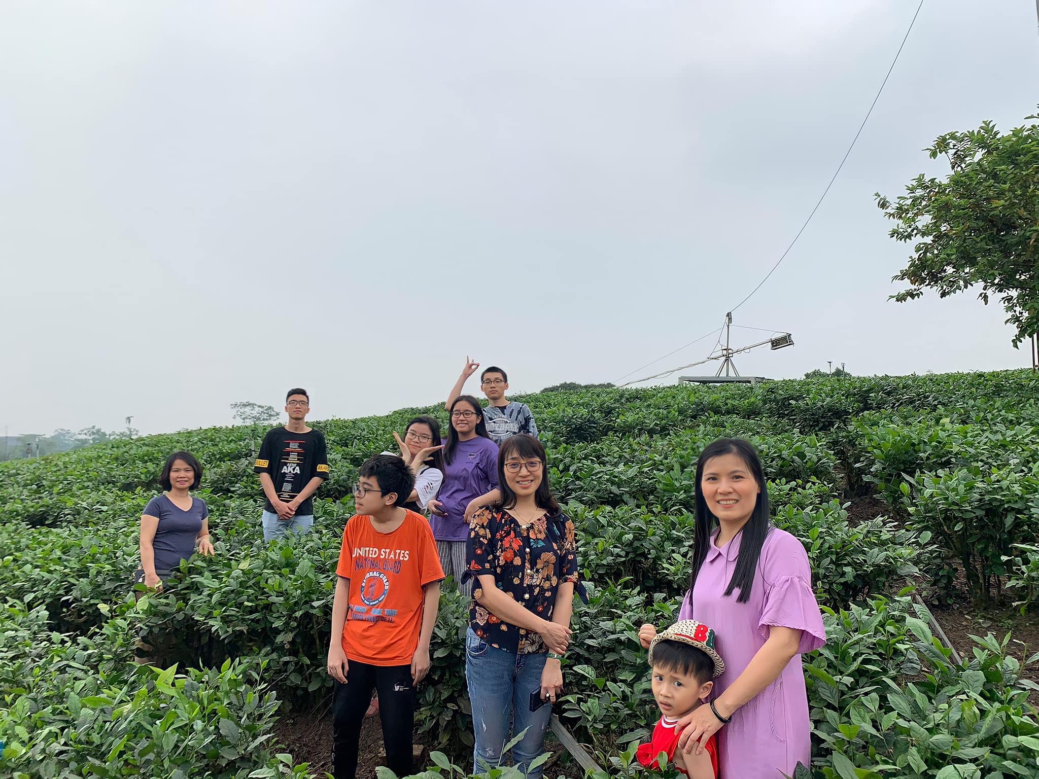 đồi trà Tân Cương Thái Nguyên