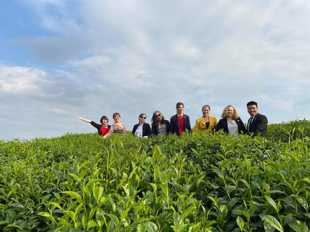 HTX Tâm Trà Thái - Cơ sở chính gốc chè Tân Cương